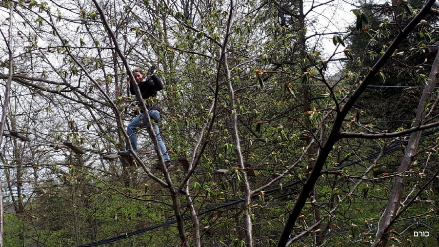 רומניה פסח 2019